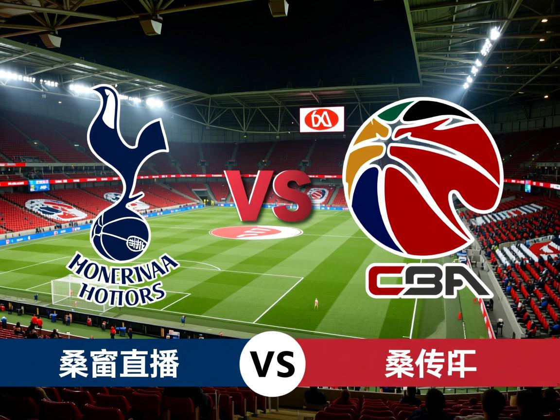 热刺VS桑德兰  第2张